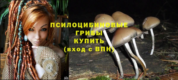 мяу мяу мука Снежногорск