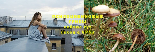 спиды Слюдянка